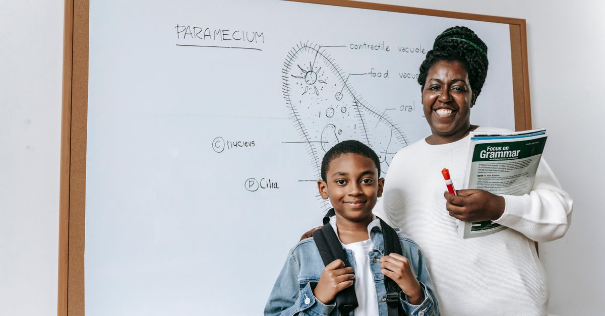 Exploring Different Subjects in Brisbane’s Online Tutoring Scene